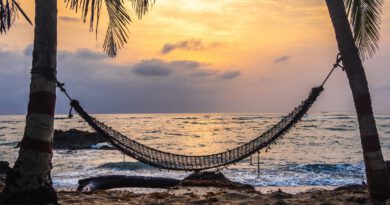 Hangmat tussen 2 palmbomen aan het strand van Bali