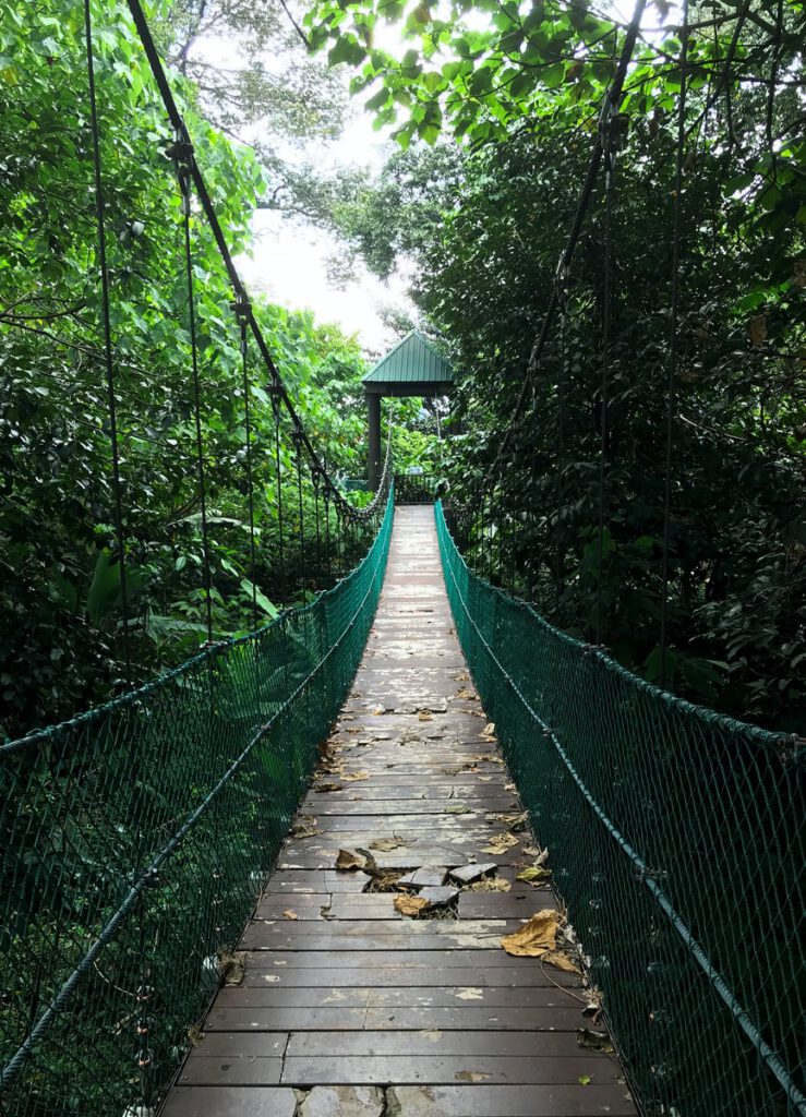 taman Negara canopywalk